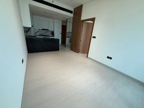1 Bedroom Apartment in Trillionaire Residences