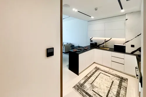 1 Bedroom Apartment in Trillionaire Residences