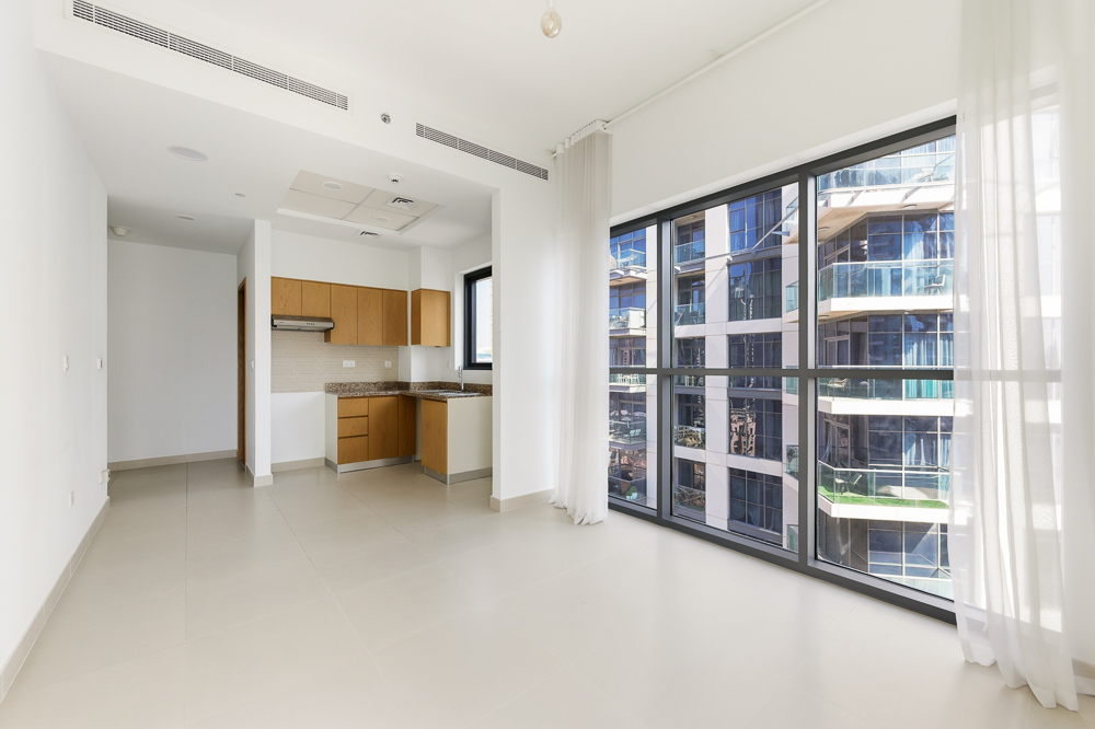 1 Bedroom Apartment in Bellevue Tower 1