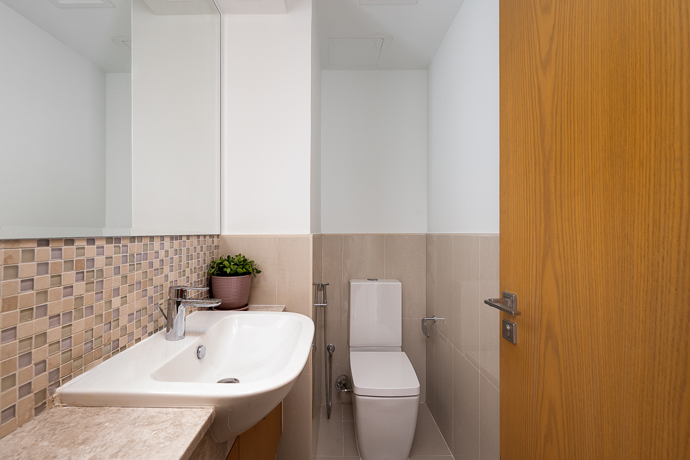 1 Bedroom Apartment in Bellevue Tower 1