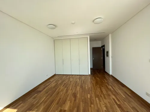 1 Bedroom Apartment in Burj Daman