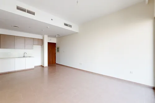1 Bedroom Apartment in Park Heights 1