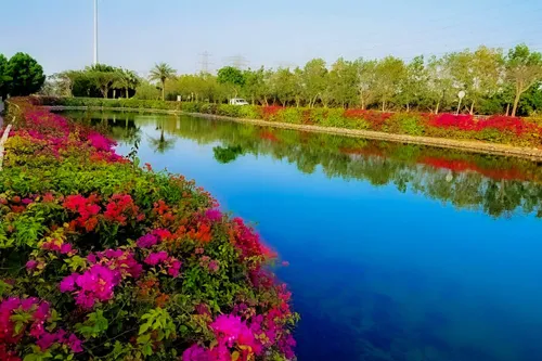 3 Bedrooms Townhouse in Springs 9