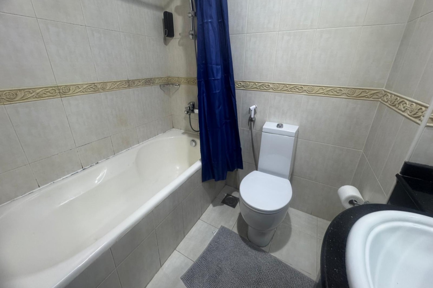 1 Bedroom Apartment in Elite Residence