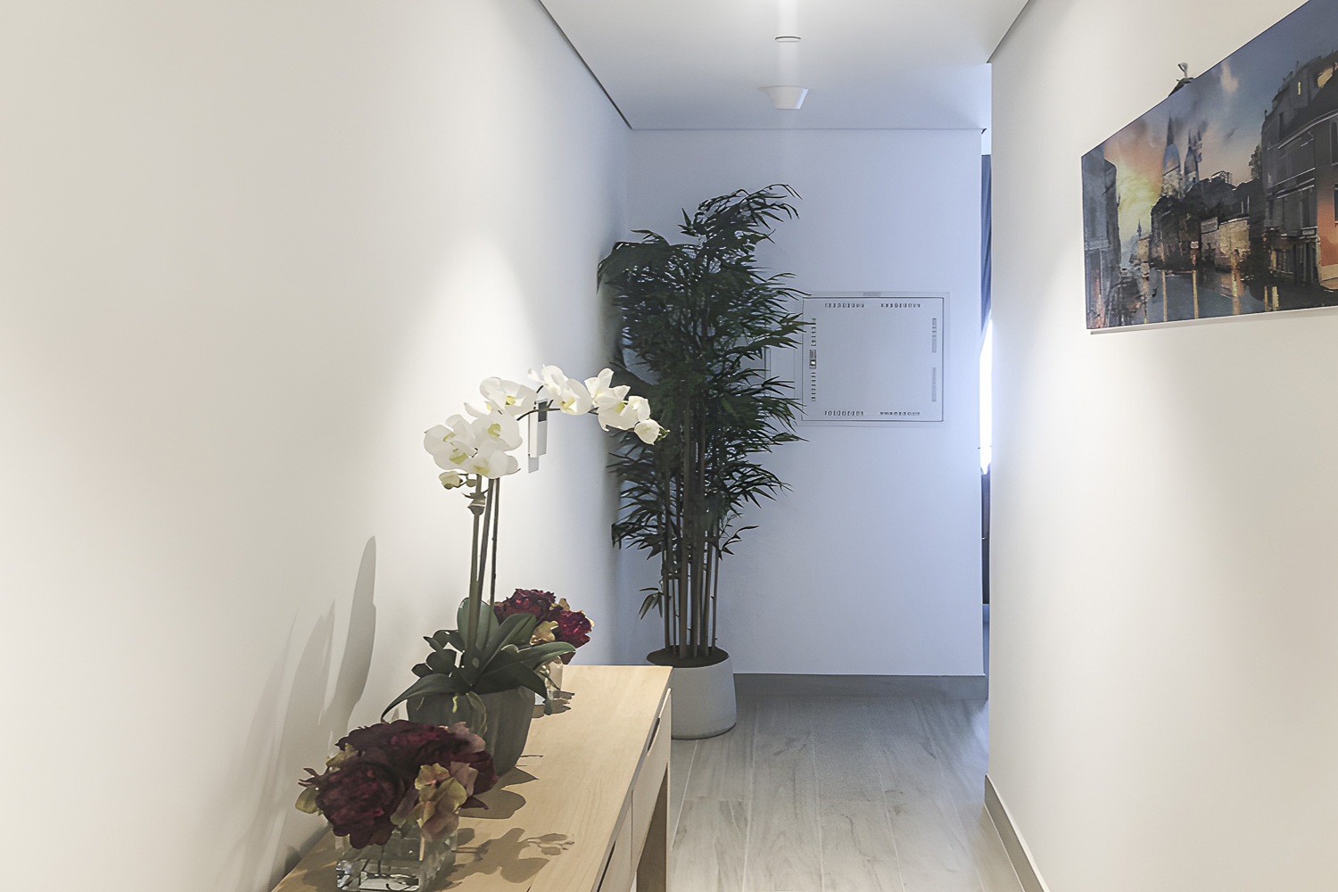 1 Bedroom Apartment in Studio One