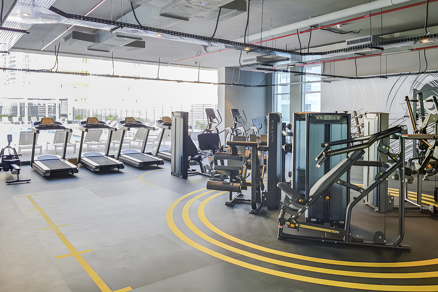 1 Bedroom Apartment in Studio One