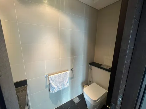 1 Bedroom Apartment in Cayan Tower