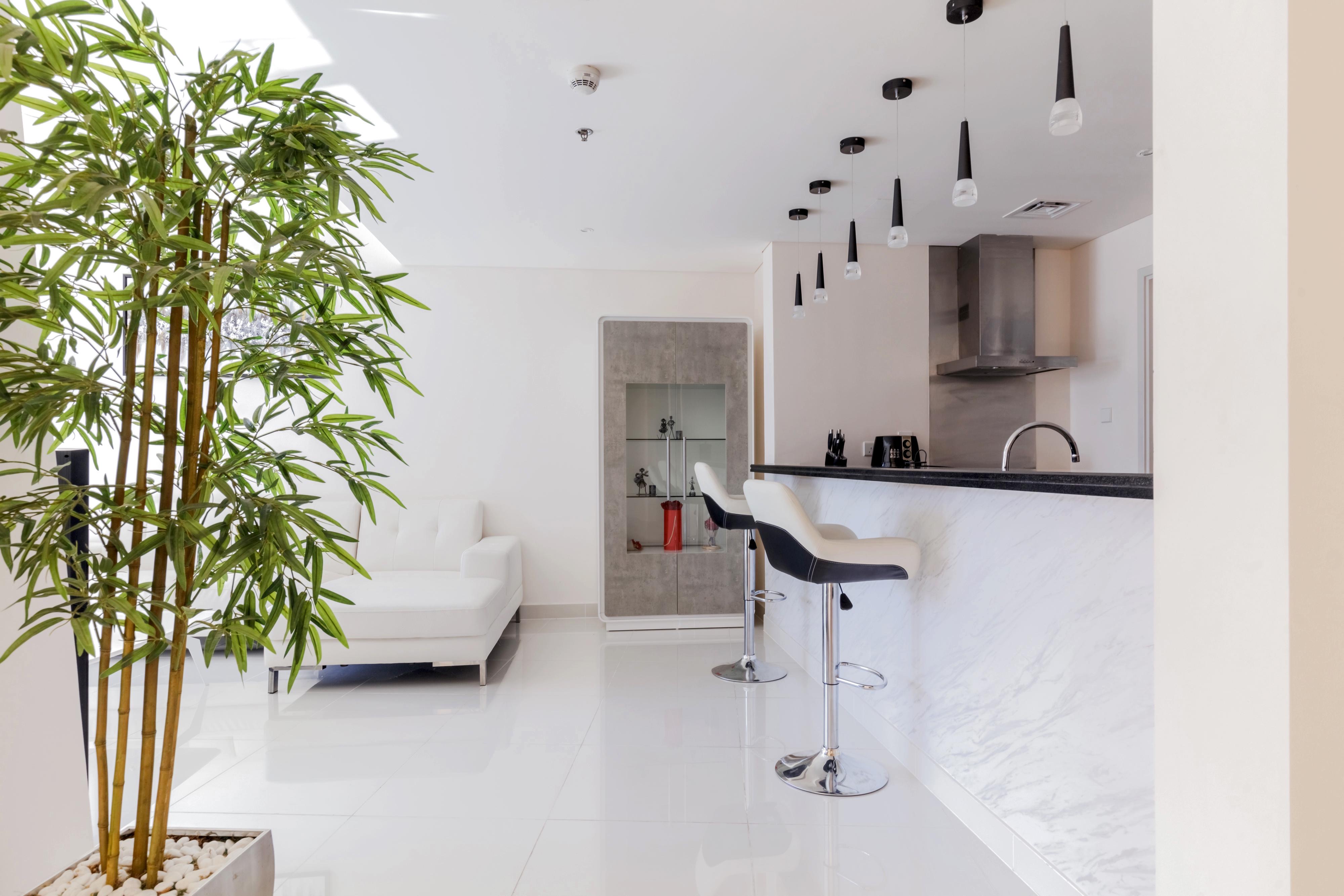 2 Bedrooms Apartment in Damac Heights