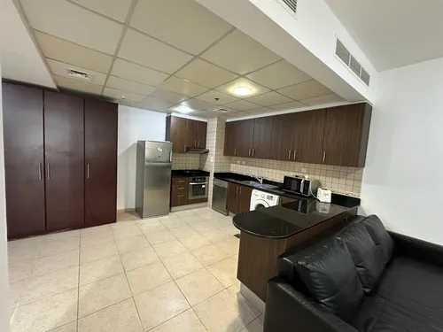 1 Bedroom Apartment in Elite Residence