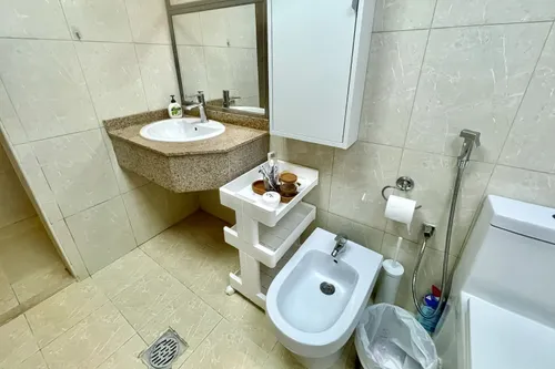 1 Bedroom Apartment in Lake Shore Tower