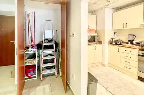 1 Bedroom Apartment in Lake Shore Tower