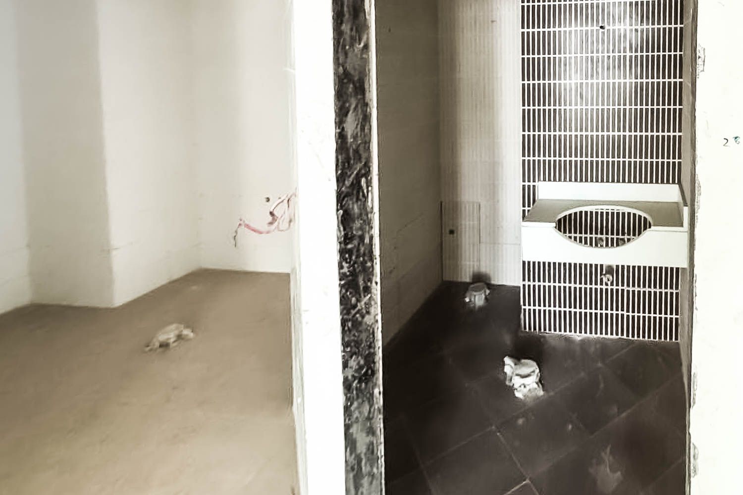 1 Bedroom Apartment in Wind Tower 1