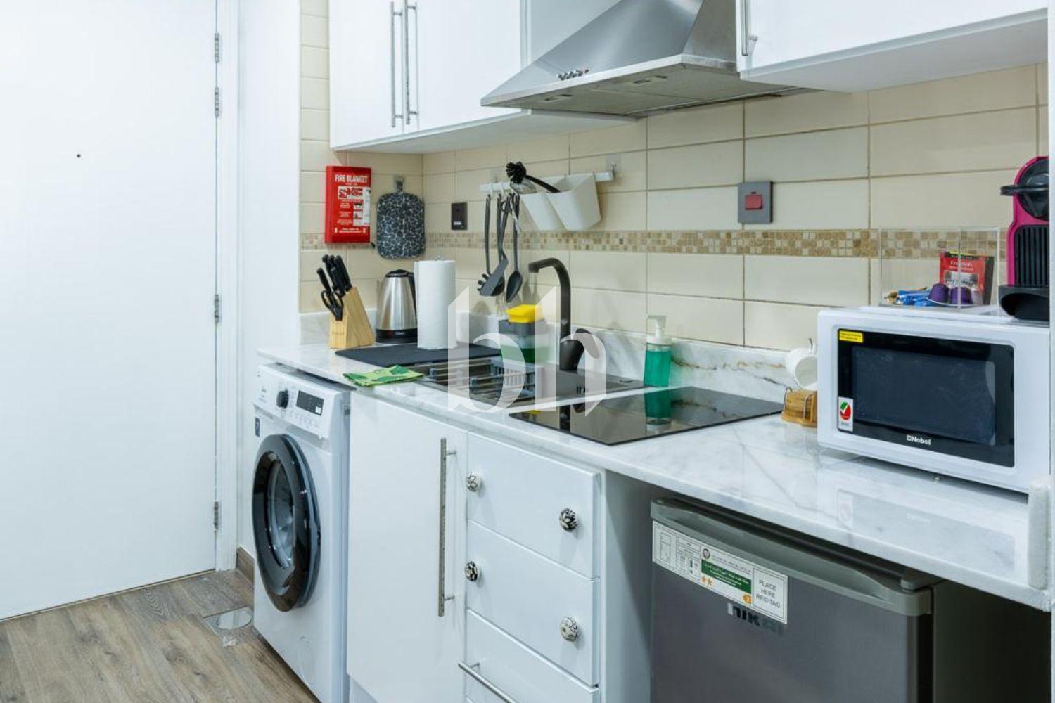 Upgraded | Fully Furnished | Modern and stylish