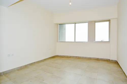 1 Bedroom Apartment in Lake Shore Tower