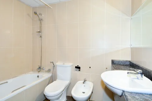 1 Bedroom Apartment in Lake Shore Tower