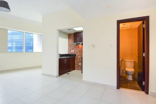 1 Bedroom Apartment in Lake Shore Tower