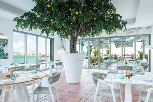 1 Bedroom Apartment in The 8