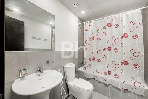 1 Bedroom Apartment in Autumn 1