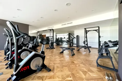 1 Bedroom Apartment in Hameni Tower