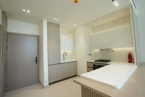 1 Bedroom Apartment in Binghatti Phantom