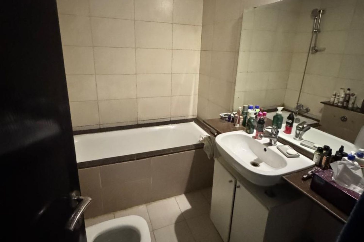 1 Bedroom Apartment in Diamond Views 2