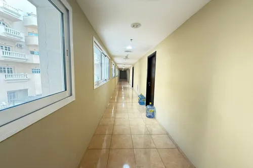1 Bedroom Apartment in Summer 2