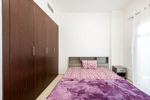 1 Bedroom Apartment in Autumn 2