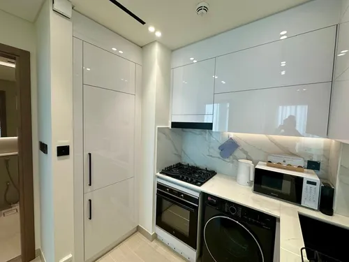 1 Bedroom Apartment in Binghatti Gardenia