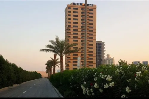 1 Bedroom Apartment in Dana Tower