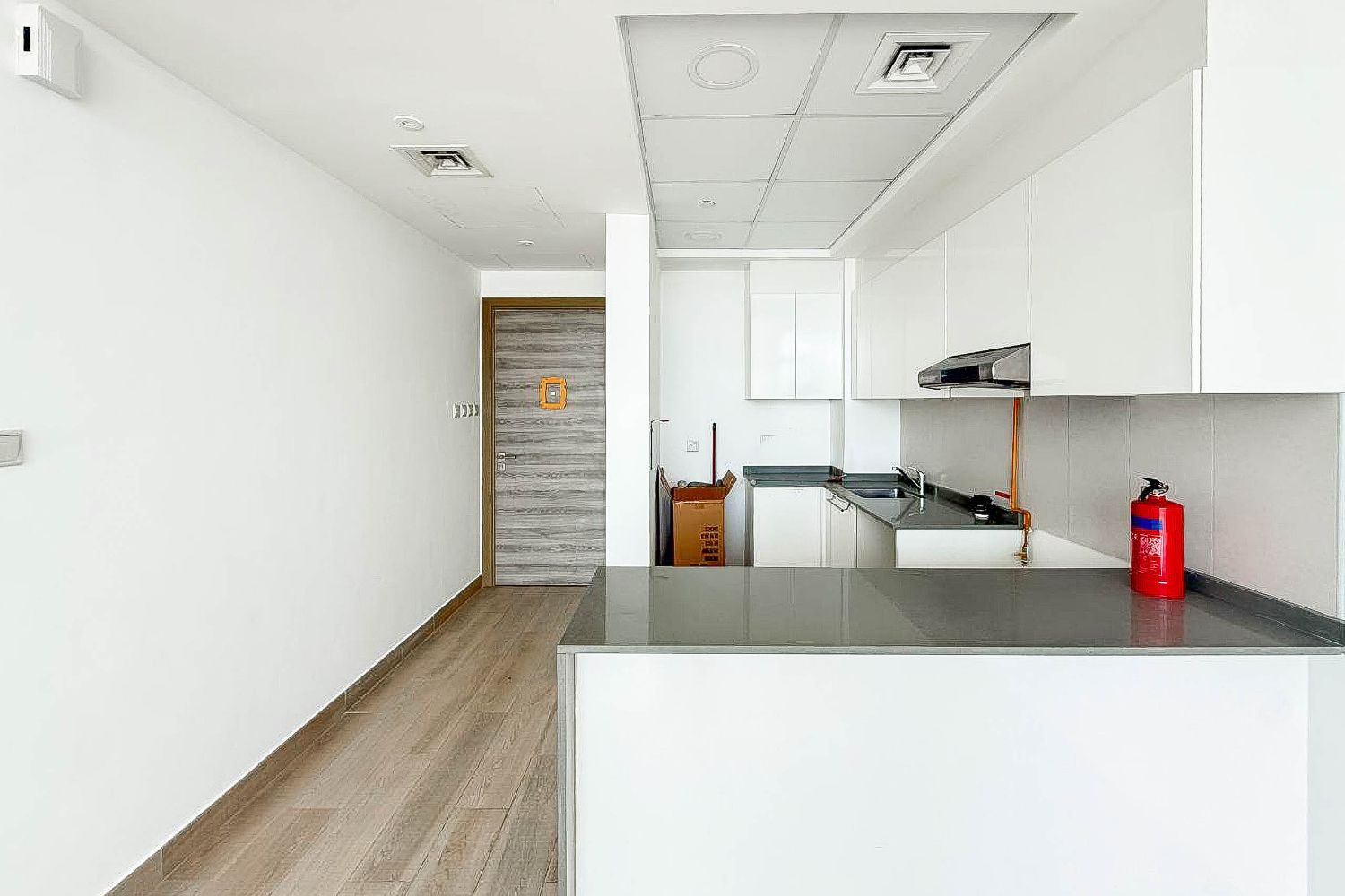 1 Bedroom Apartment in Bloom Towers B