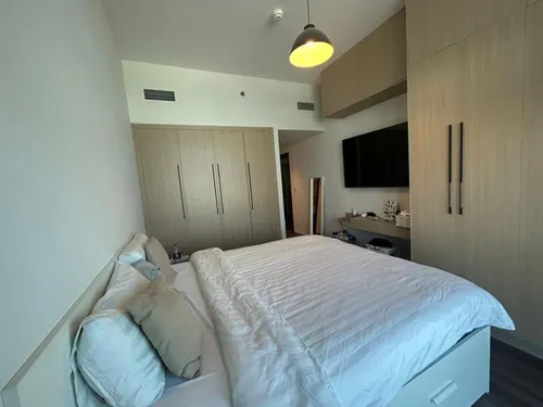 1 Bedroom Apartment in Zazen One