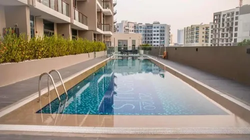 1 Bedroom Apartment in 2020 Marquis