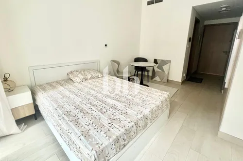 Fully Furnished | Lavish Studio | Vacant