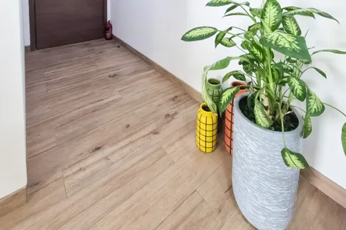 1 Bedroom Apartment in East 40