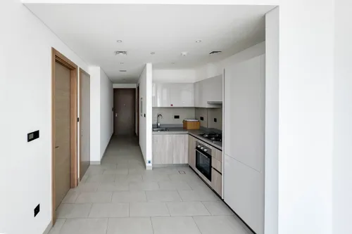 1 Bedroom Apartment in Sobha Hartland Waves