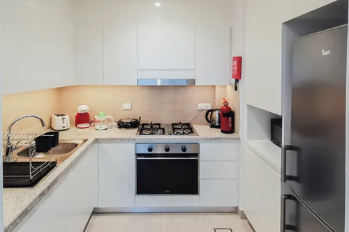 1 Bedroom Apartment in Downtown Views