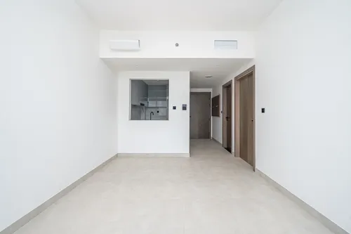 1 Bedroom Apartment in Binghatti Creek