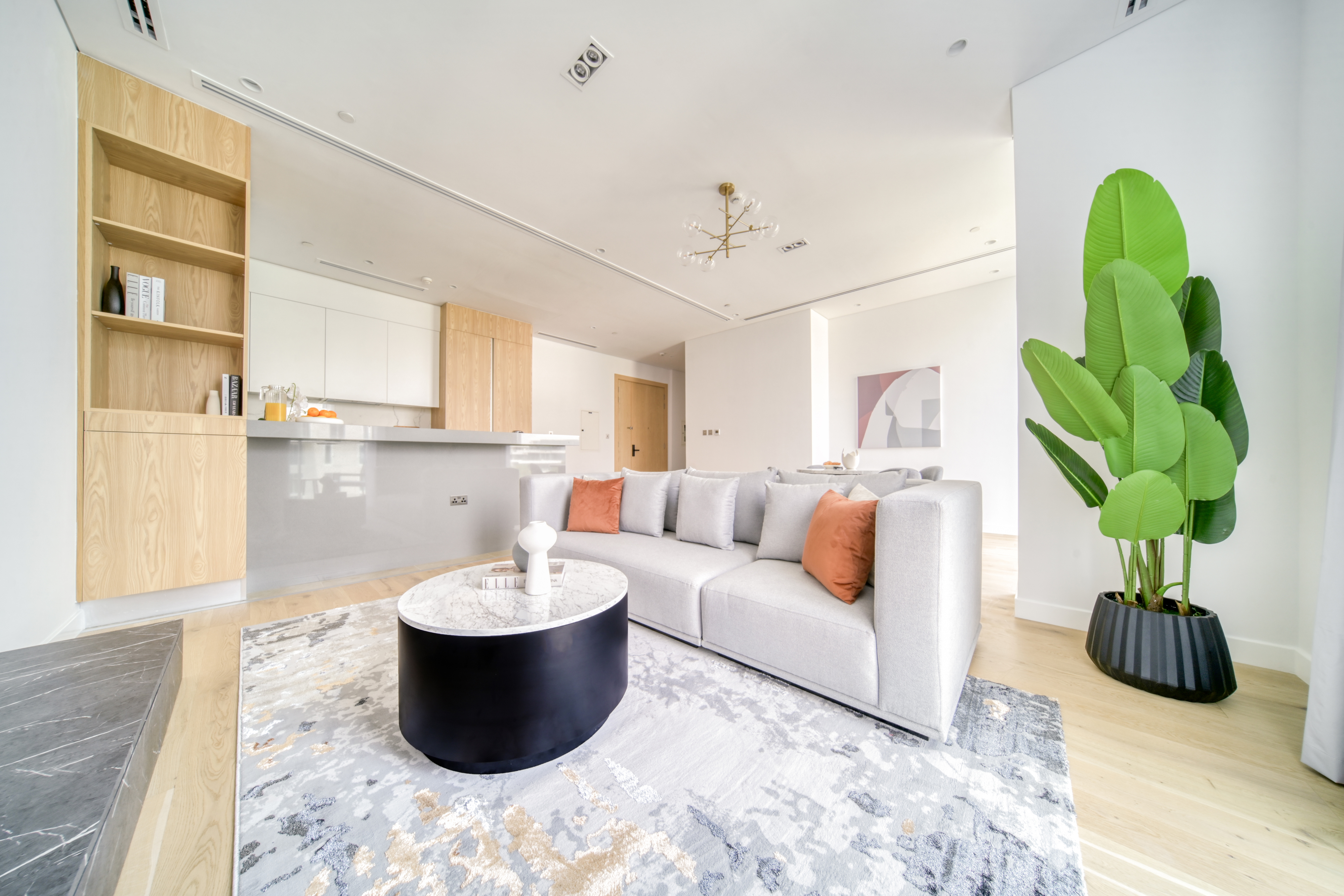1 Bedroom Apartment in C1