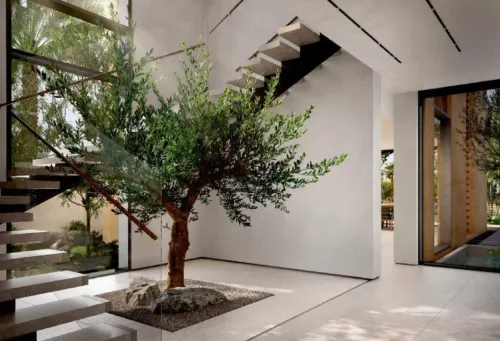 4 Bedrooms Villa in Delphi at Athlon