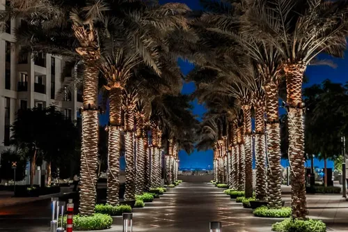 1 Bedroom Apartment in Savanna Building 2