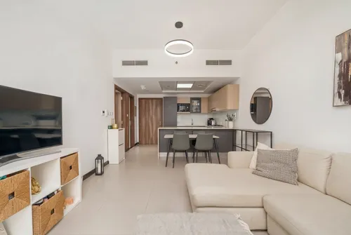 1 Bedroom Apartment in Aria