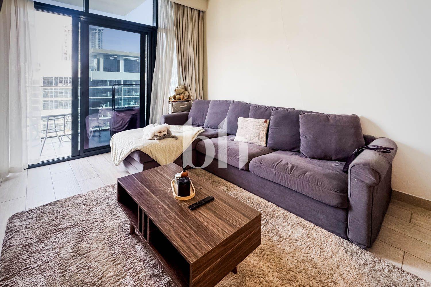 Tenanted Studio | Immediate Rental Income | Meydan