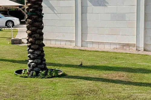 5 Bedrooms Villa in Al Mizhar 2