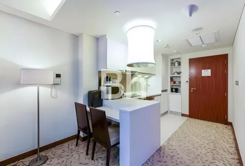  Apartment in The Address Dubai Mall