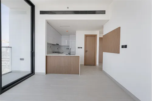 1 Bedroom Apartment in Binghatti Venus