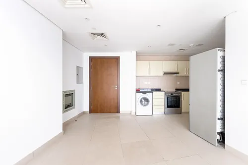 1 Bedroom Apartment in Hilliana Tower