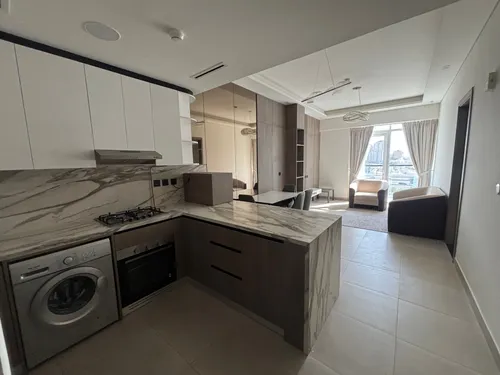 1 Bedroom Apartment in 555 Park Views