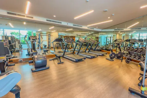 3 Bedrooms Apartment in Mamsha Al Saadiyat