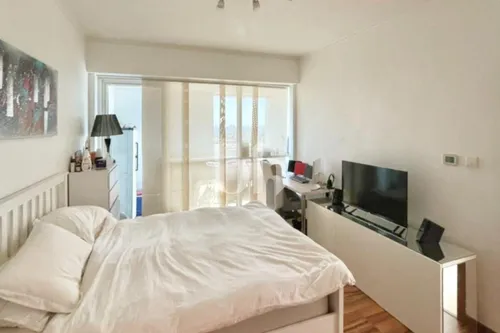 1 Bedroom Apartment in Saba Tower 3