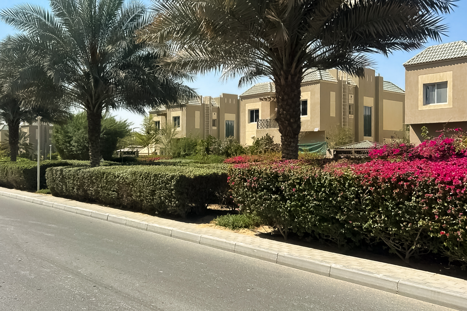 1 Bedroom Apartment in Rapunzel